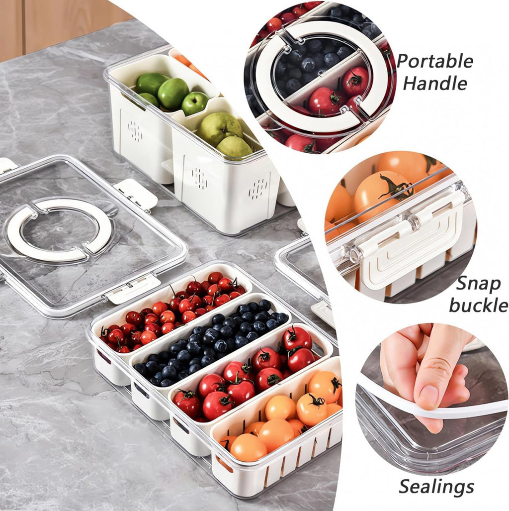 4 DIVIDED SERVING TRAY WITH LID & HANDLE