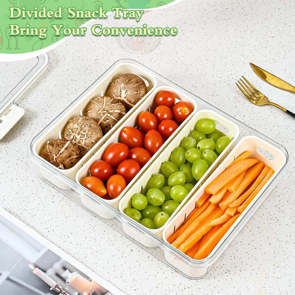 4 DIVIDED SERVING TRAY WITH LID & HANDLE