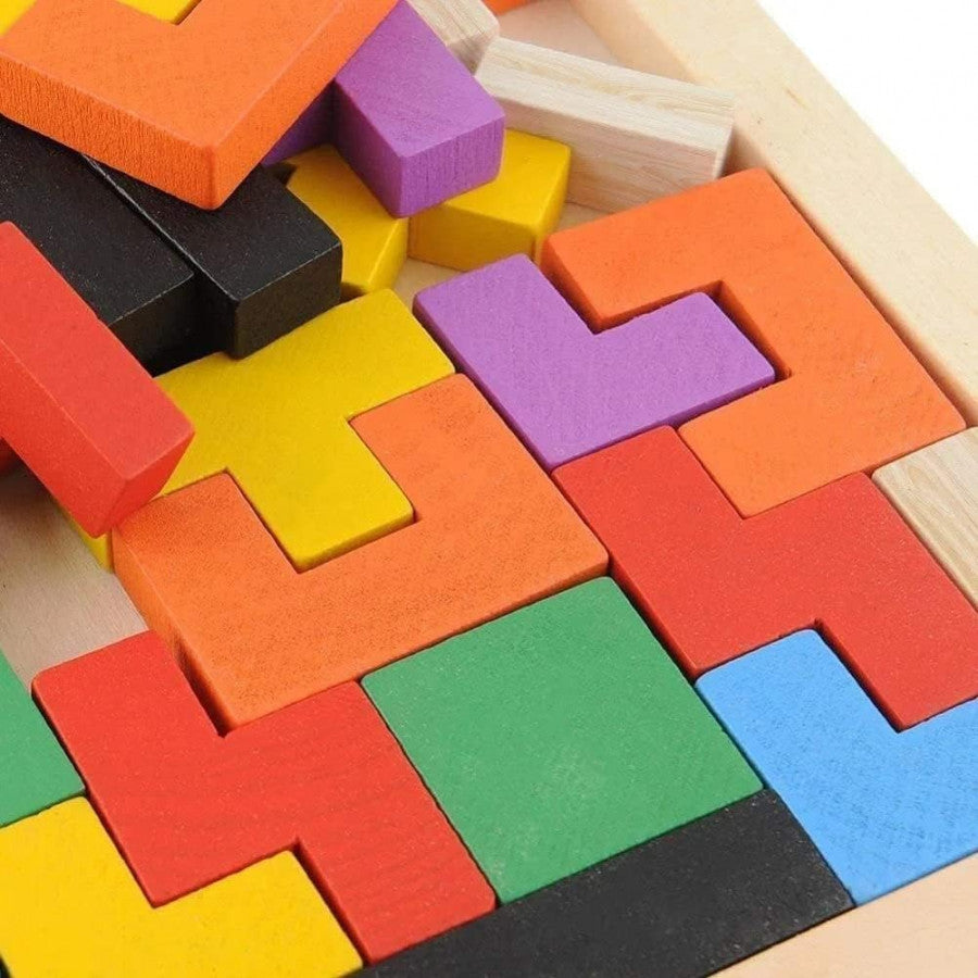 WOODEN INTELLIGENCE PUZZLE