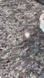 4 DIVIDED SERVING TRAY WITH LID & HANDLE