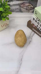 HOOK STICKER (PACK OF 10)